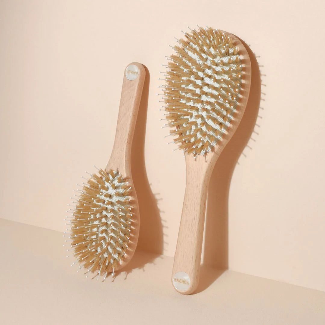 Two Bachca hair brushes hanging against a beige wall: on the left, the small size, on the right, the large size. Both feature a beechwood handle, nylon pins and boar bristles, with a pearlescent medallion at the end of the handle.