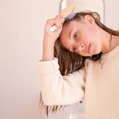 Detangling and Volumizing Hair Brush