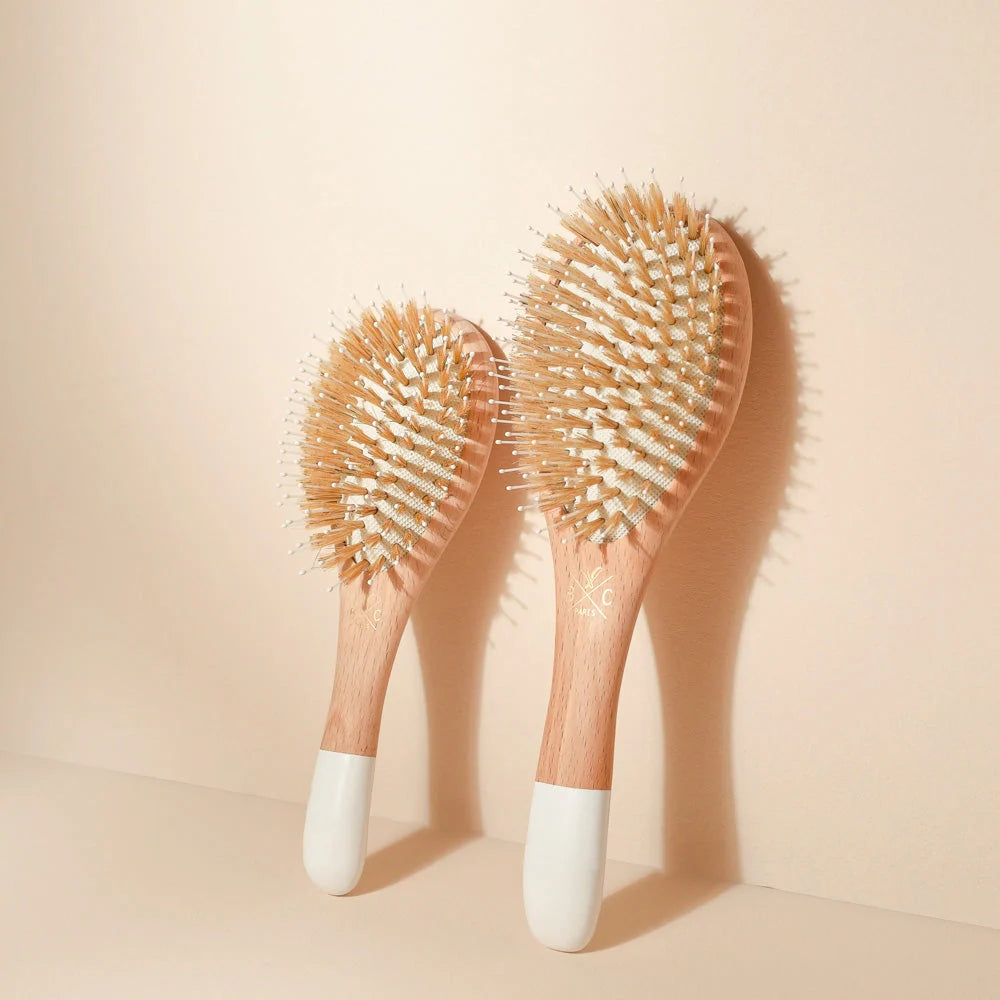 Bachca Gloss and Detangling Hair Brushes that are standing next to each other. The right is the small size and the left is the large size. 