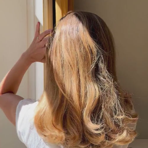 Hair Bun Pin